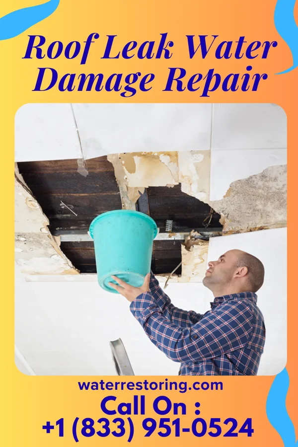 Roof Leak Water Damage Repair in Chataignier, LA